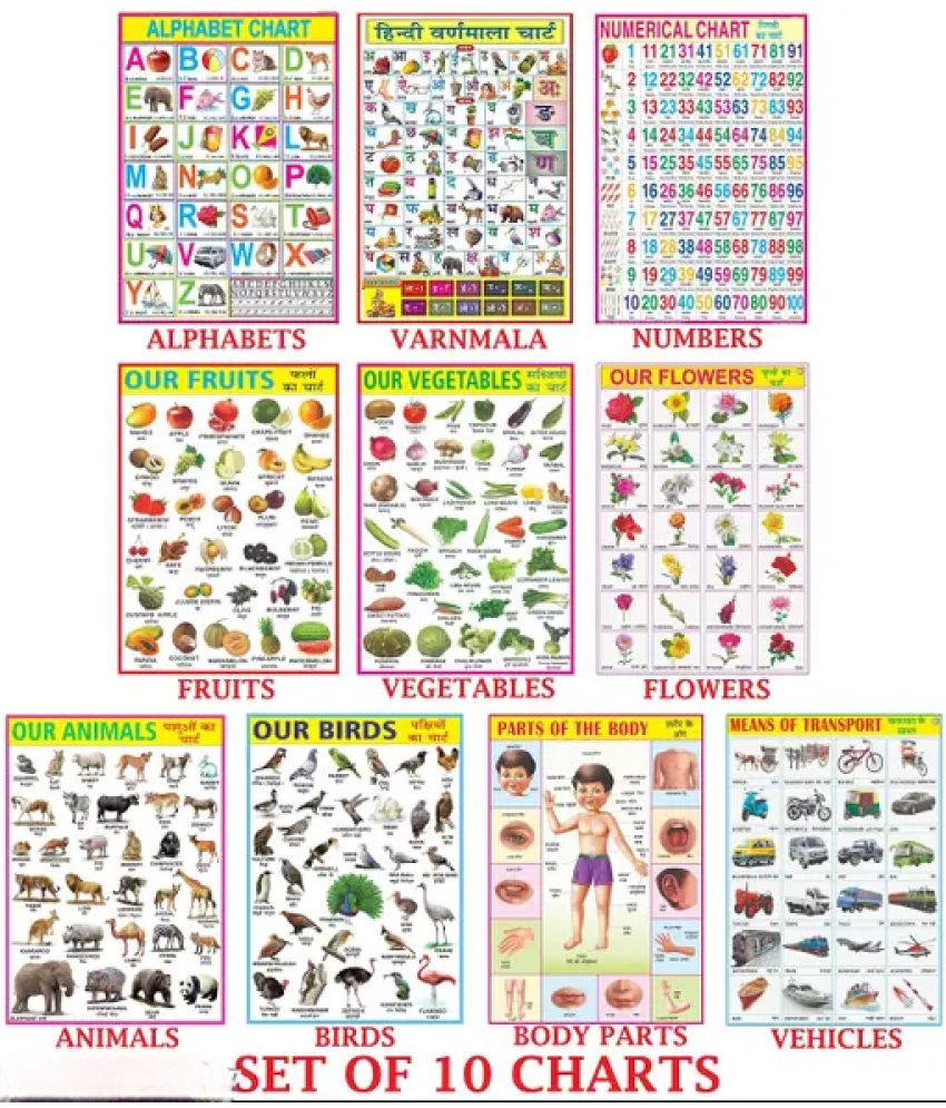     			Kids Learning Chart