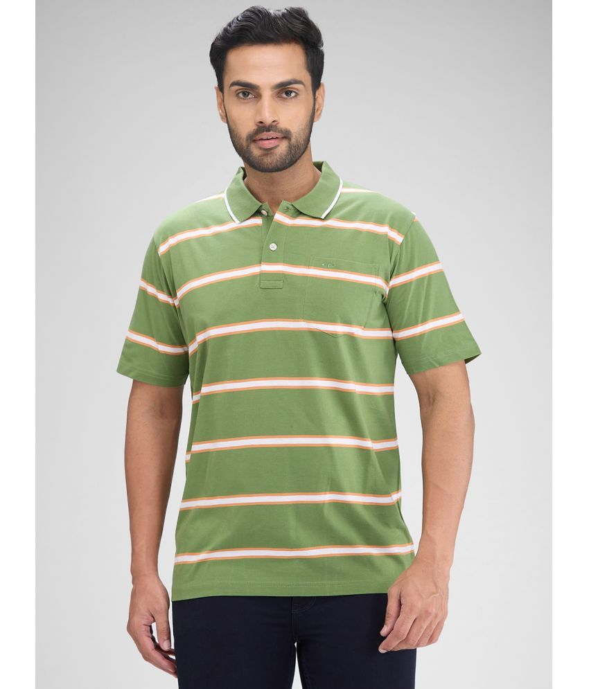     			Colorplus Cotton Regular Fit Striped Half Sleeves Men's Polo T Shirt - Green ( Pack of 1 )