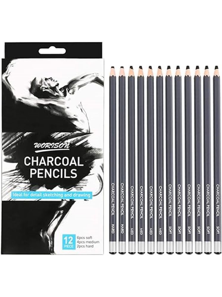     			Professional Charcoal Pencils Drawing Set - 12 Pieces Soft Medium and Hard Charcoal Pencils for Drawing, Sketching, Shading, Artist Pencils for Beginners & Artists Visit the Chrome Store