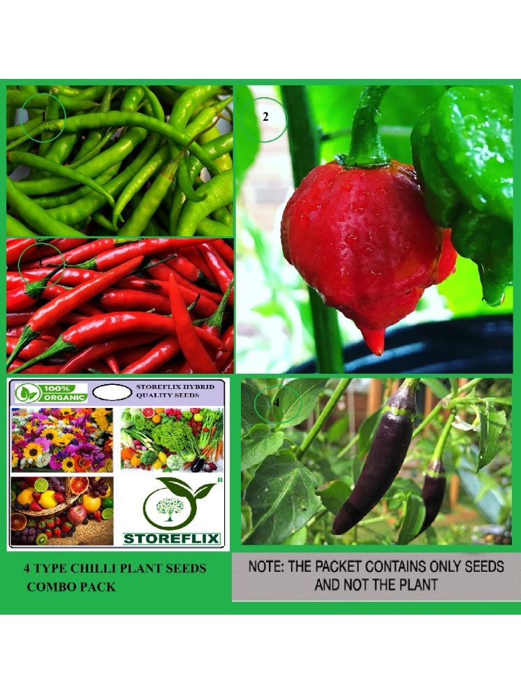     			STOREFLIX Chilli Vegetable 4 Varieties ( 60 Seeds )