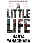 A Little Life Novel By Hanya Yanagihara