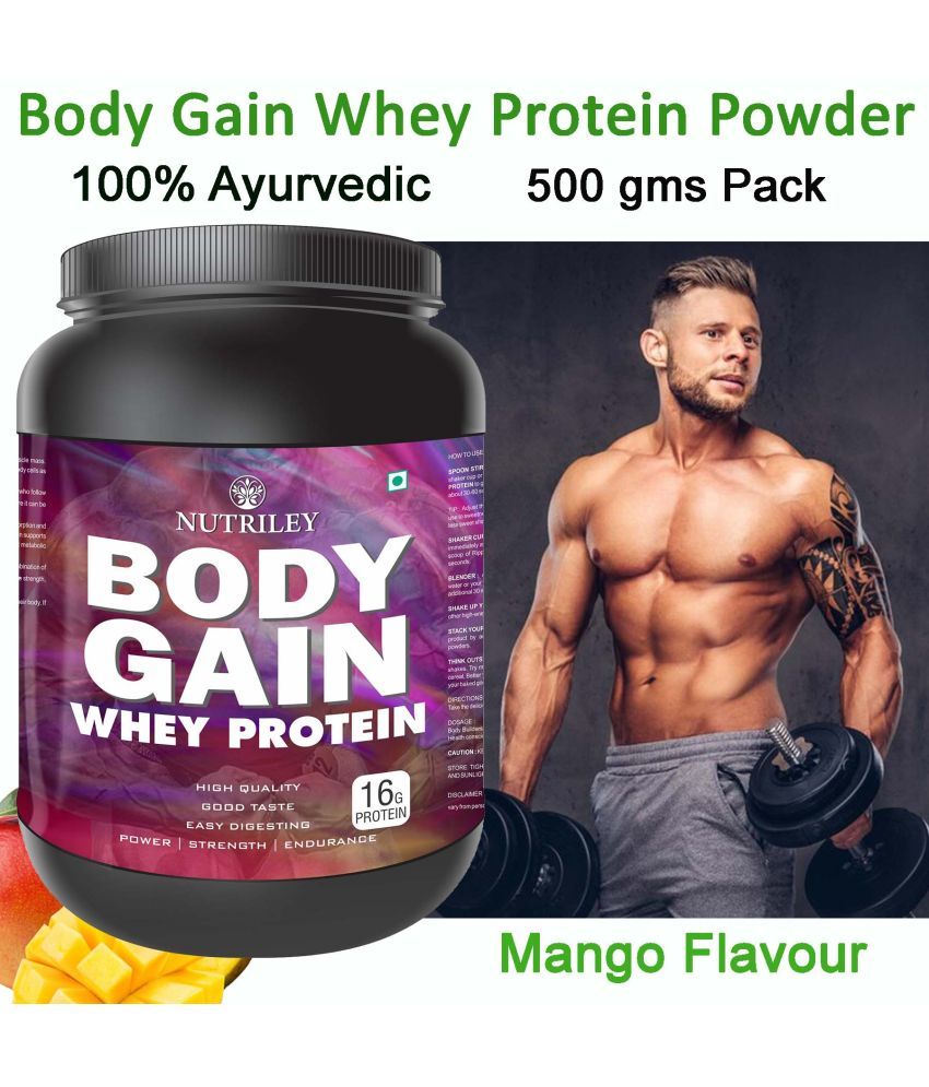     			Nutriley Body Gain Whey Protein ( 500 gm , Mango - Flavour )