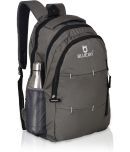 Bluejay Grey Polyester Backpack ( 40 litres )