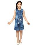 Aarika Denim Skater Dress For Girls ( Pack of 1 , Blue )