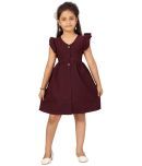 Aarika Silk Skater Dress For Girls ( Pack of 1 , Purple )