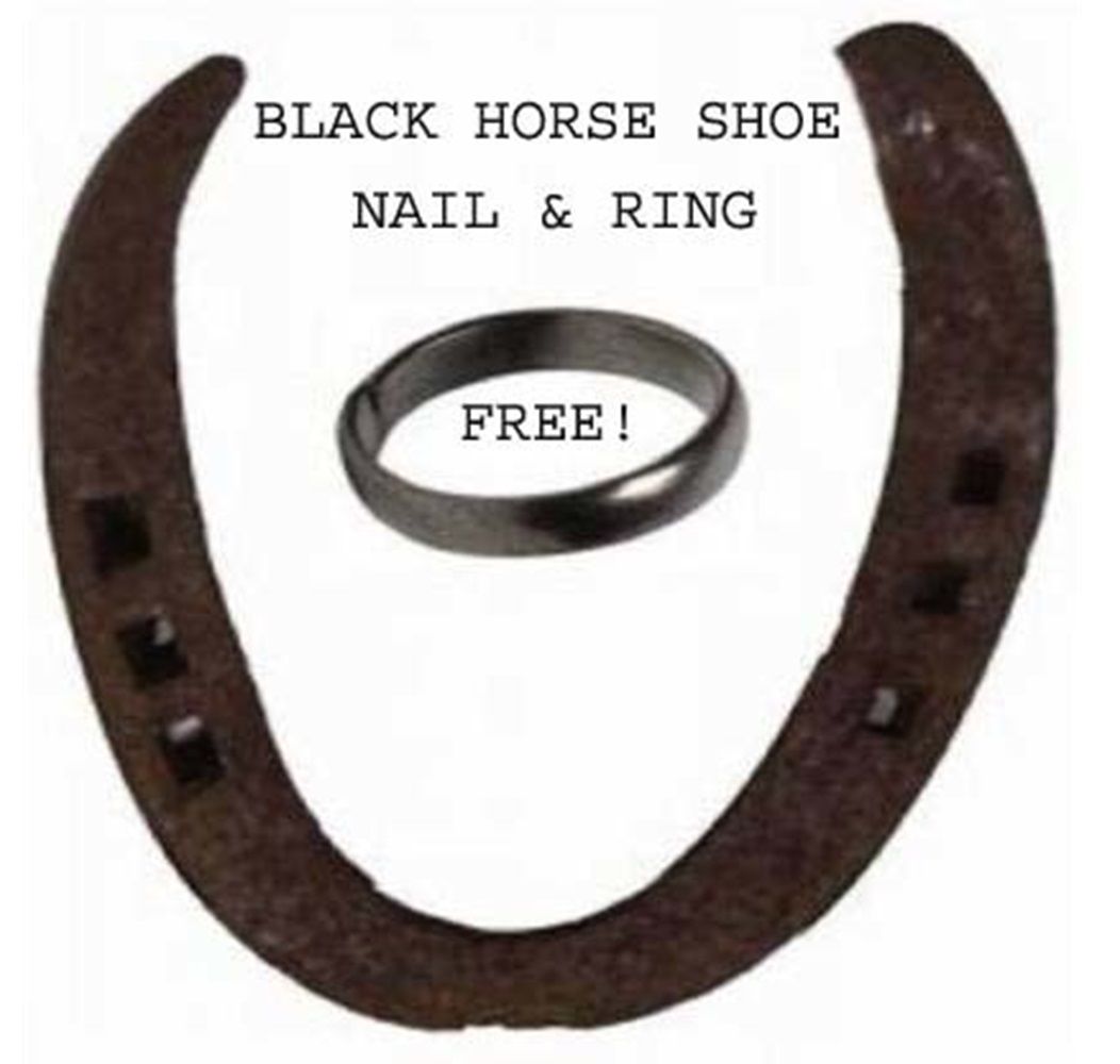     			Shri Astha Vinayak Iron Horse Shoe Ring