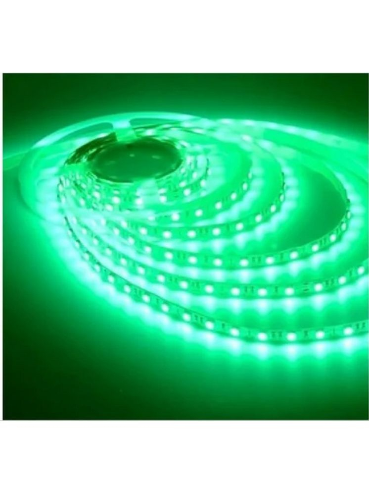     			Gearup Green 5Mtr String Light ( Pack of 1 )