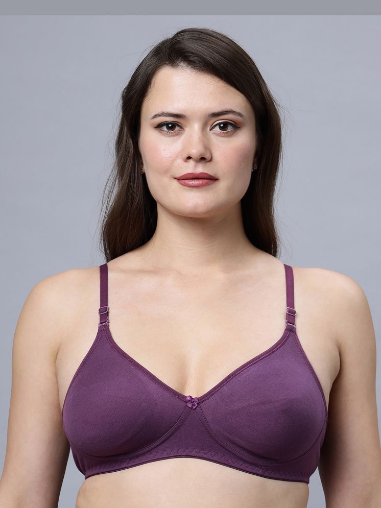     			IN CARE LINGERIE Rayon Lightly Padded Women's T-Shirt Bra ( Wine ) NAVYA_WINE_38B