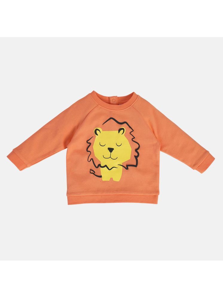     			Miniklub Baby Boys Round Neck Full Length Knit Sweat Shirt (Orange Color)