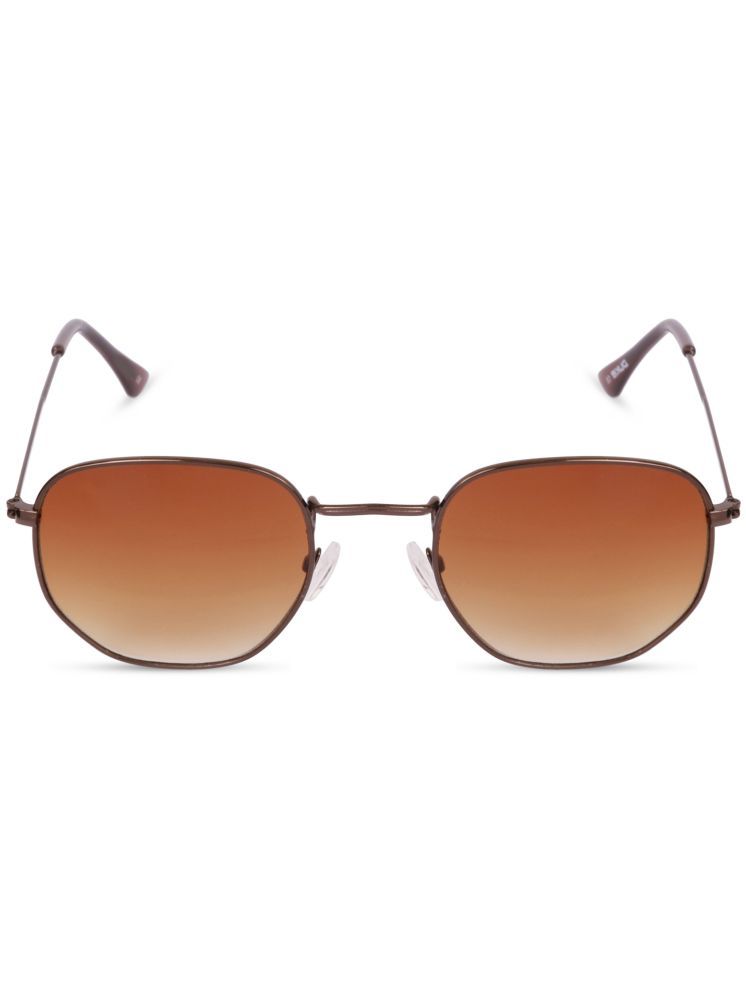     			Sunnies Brown Panto Sunglasses ( Pack of 1 )