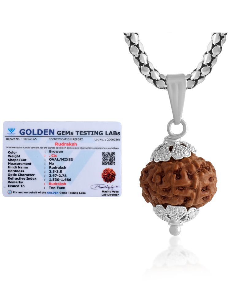     			ADMIER 10 Mukhi Rudraksha Pendant With Chain ( Pack of 1 )