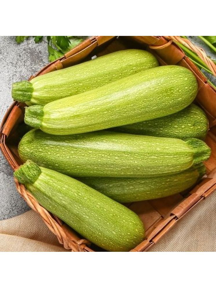     			Jignisha Seeds Organic Light Green Zucchini Vegetable ( 10 Seeds )