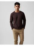 PLUS PARADISE Cotton Blend Regular Fit Solid Full Sleeves Men's Round T-Shirt - Brown ( Pack of 1 )