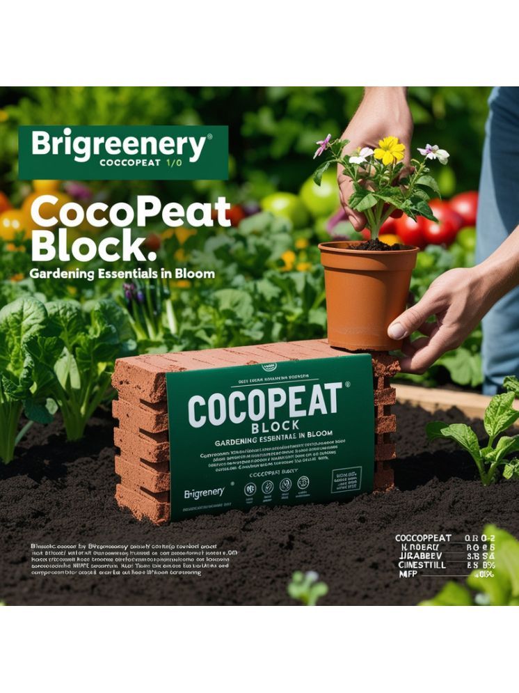     			BriGreenery Bricks Cake ( 5 ) For Lawns and terrace gardening