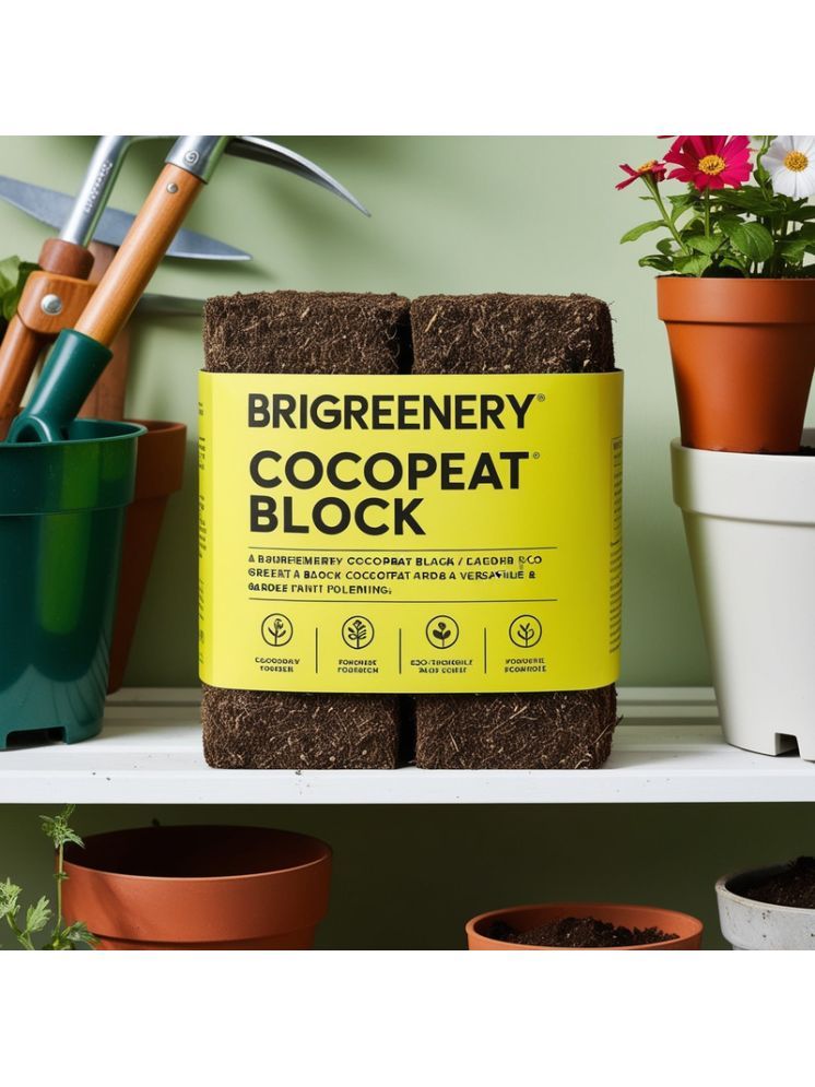     			BriGreenery Bricks Cake ( 5 ) For Indoor and Outdoor Plant