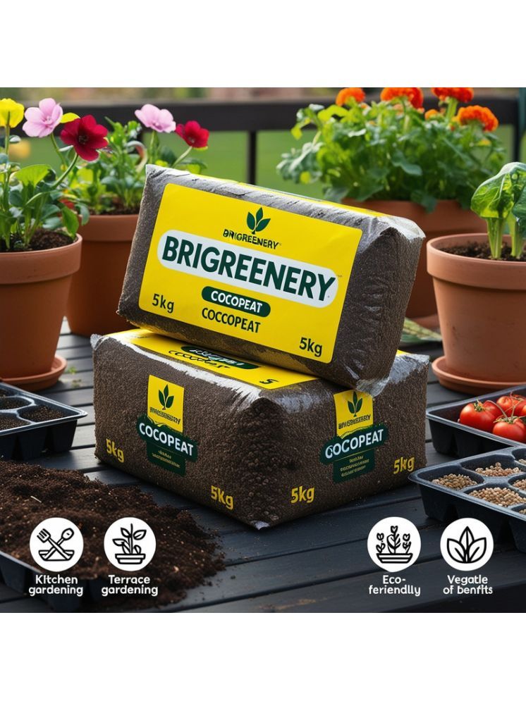     			BriGreenery Bricks Cake ( 5 ) For Germination pots