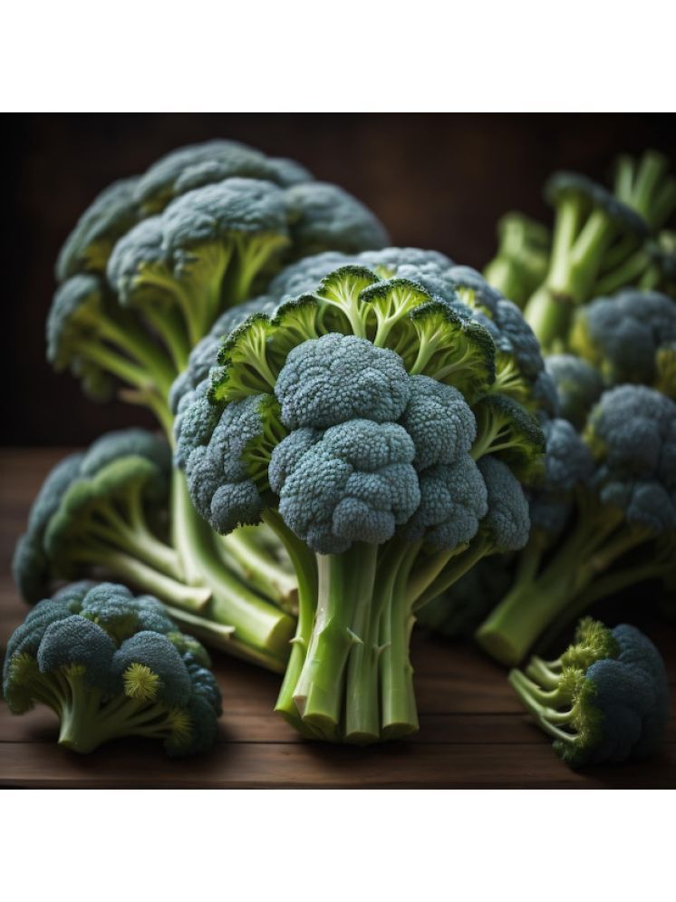     			Jignisha Seeds Hybrid Broccoli Vegetable ( 100 Seeds )