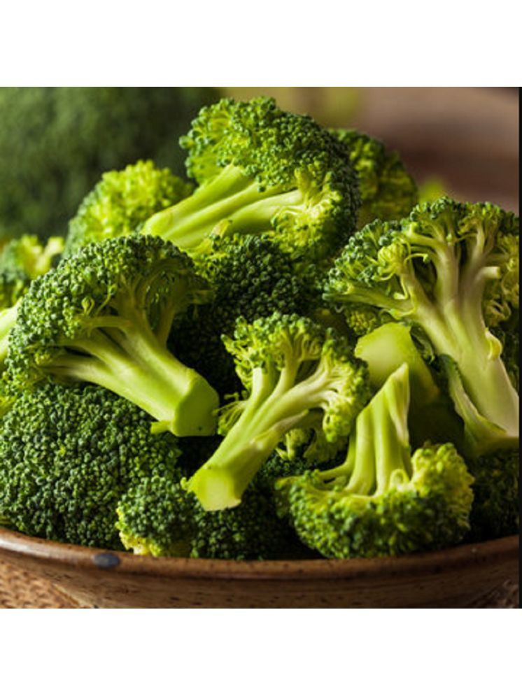     			Jignisha Seeds Organic Broccoli Vegetable ( 100 Seeds )