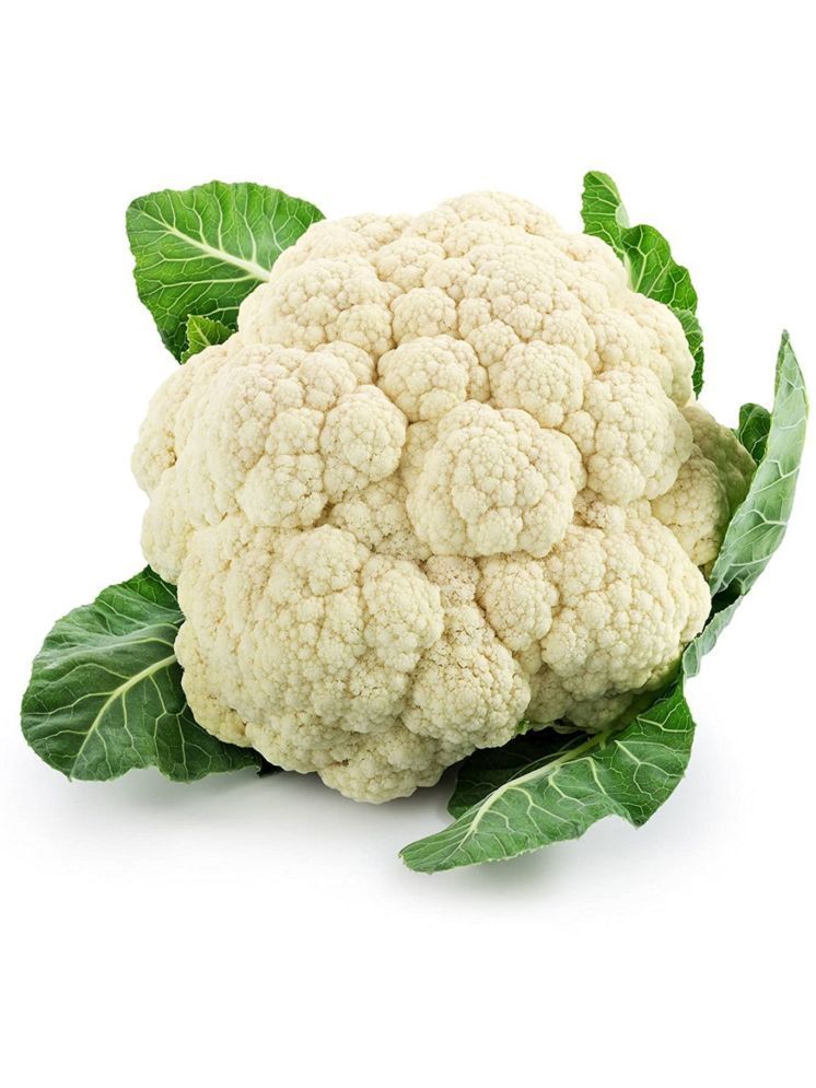     			Jignisha Seeds Cauliflower Vegetable ( 100 Seeds )