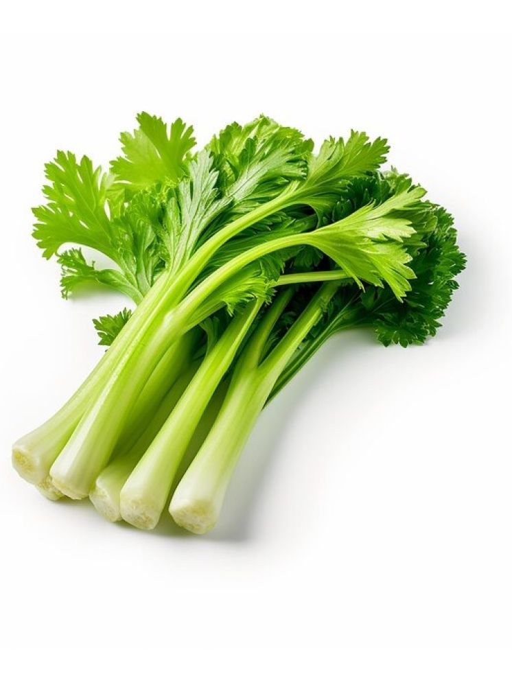     			Jignisha Seeds Celery Tall Utah Vegetable ( 100 Seeds )