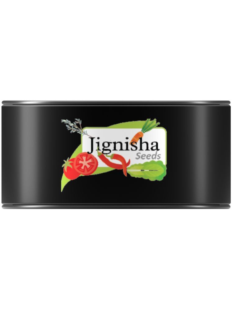     			Jignisha Seeds Organic Aubergine Vegetable ( 50 Seeds )