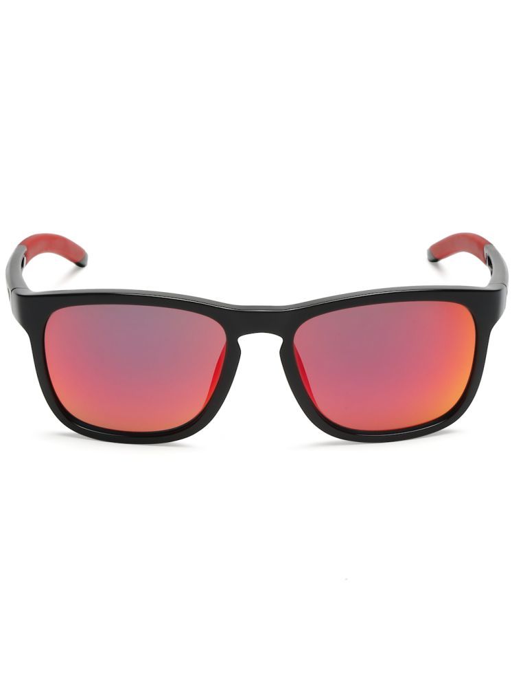     			Sunnies Black Square Sunglasses ( Pack of 1 )