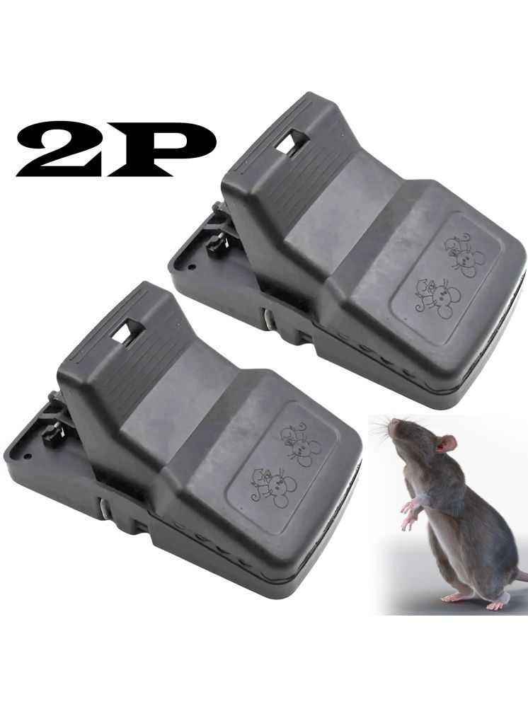     			JMALL Rat Trap ( Pack of 2 )