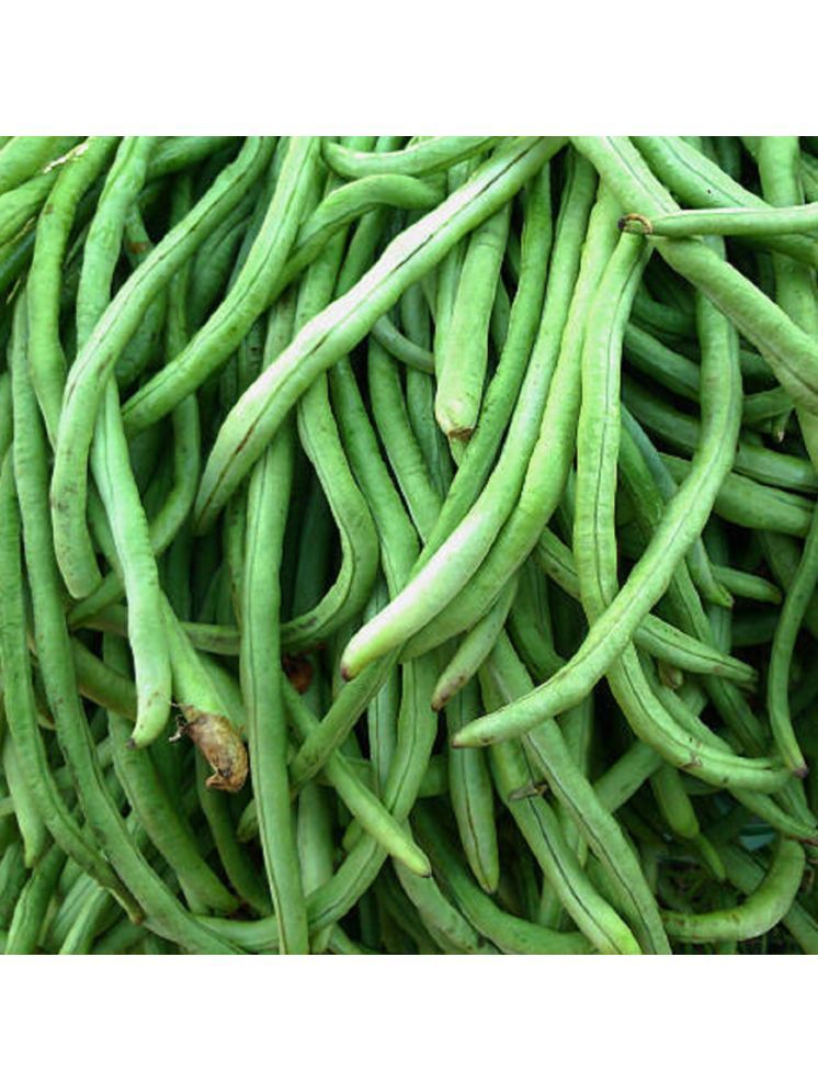     			Jignisha Seeds Black Eyed Pea Vegetable ( 50 Seeds )